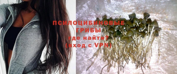 хмурый Вязники