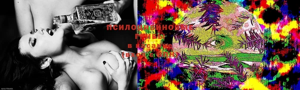 спайс Вяземский