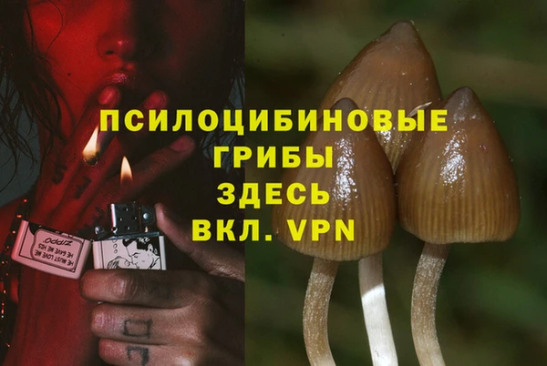 спайс Вяземский