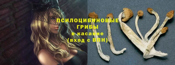 хмурый Вязники